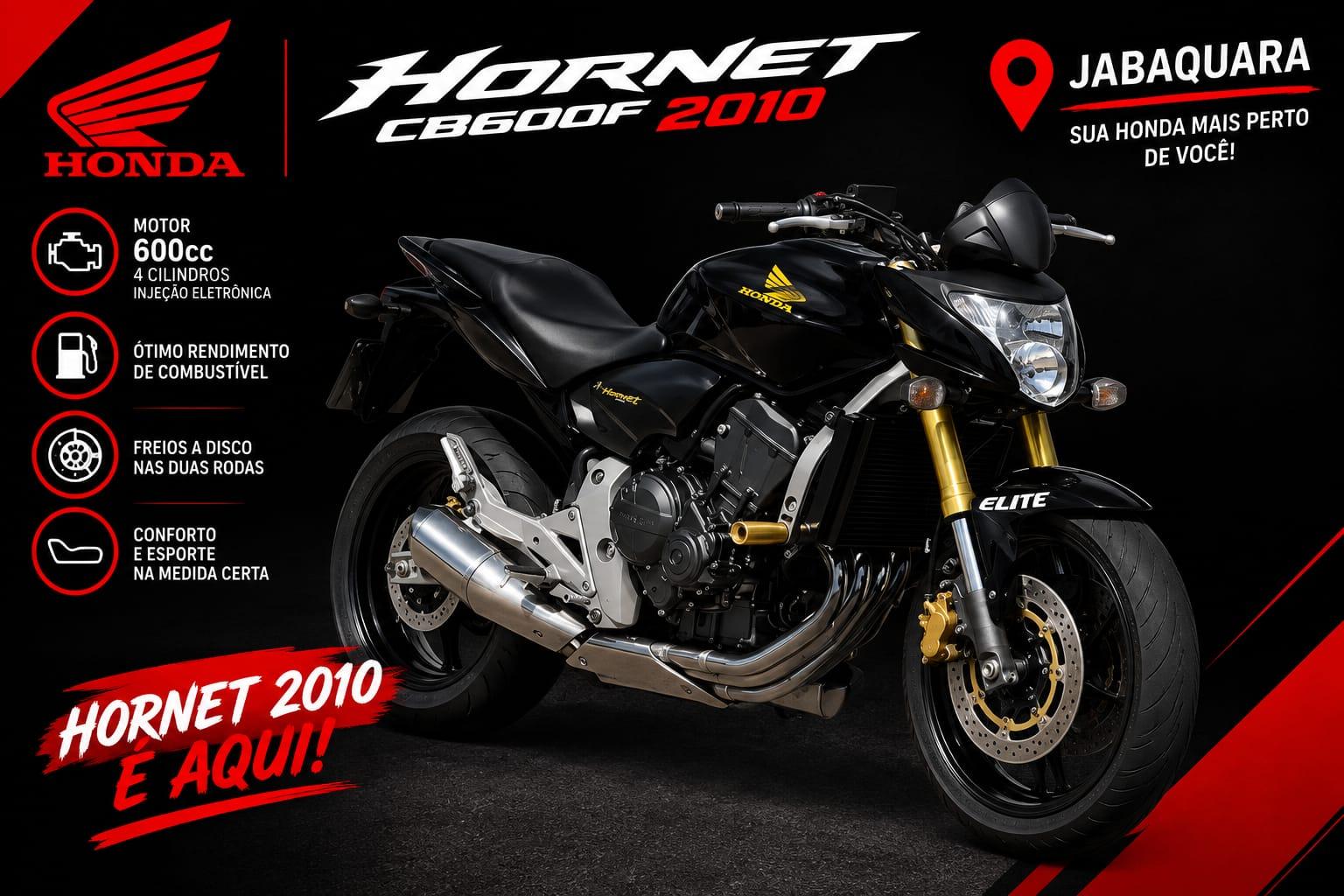 Hornet 2010